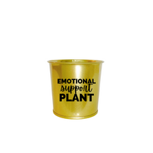 Load image into Gallery viewer, Planter | Emotional Support Plant