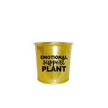 Load image into Gallery viewer, Planter | Emotional Support Plant
