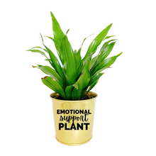 Load image into Gallery viewer, Planter | Emotional Support Plant
