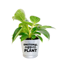 Load image into Gallery viewer, Planter | Emotional Support Plant
