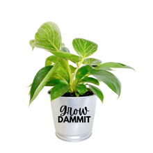 Load image into Gallery viewer, Planter | Grow Dammit
